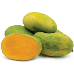 Malgova Mango